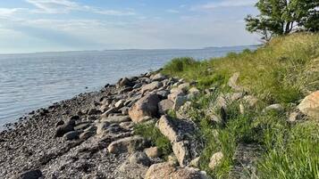 A rocky shoreline with a grassy area and a tree on the right.