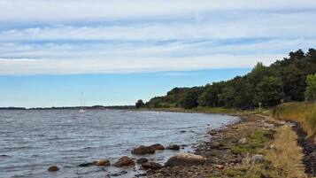 A rocky shoreline with calm water, a distant sailboat, and a forested hill.