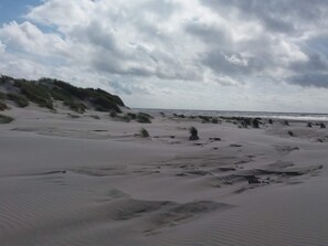 A beach with sand dunes and sparse vegetation. - 10 Person Holiday Home in Oksbol (Oksbol)