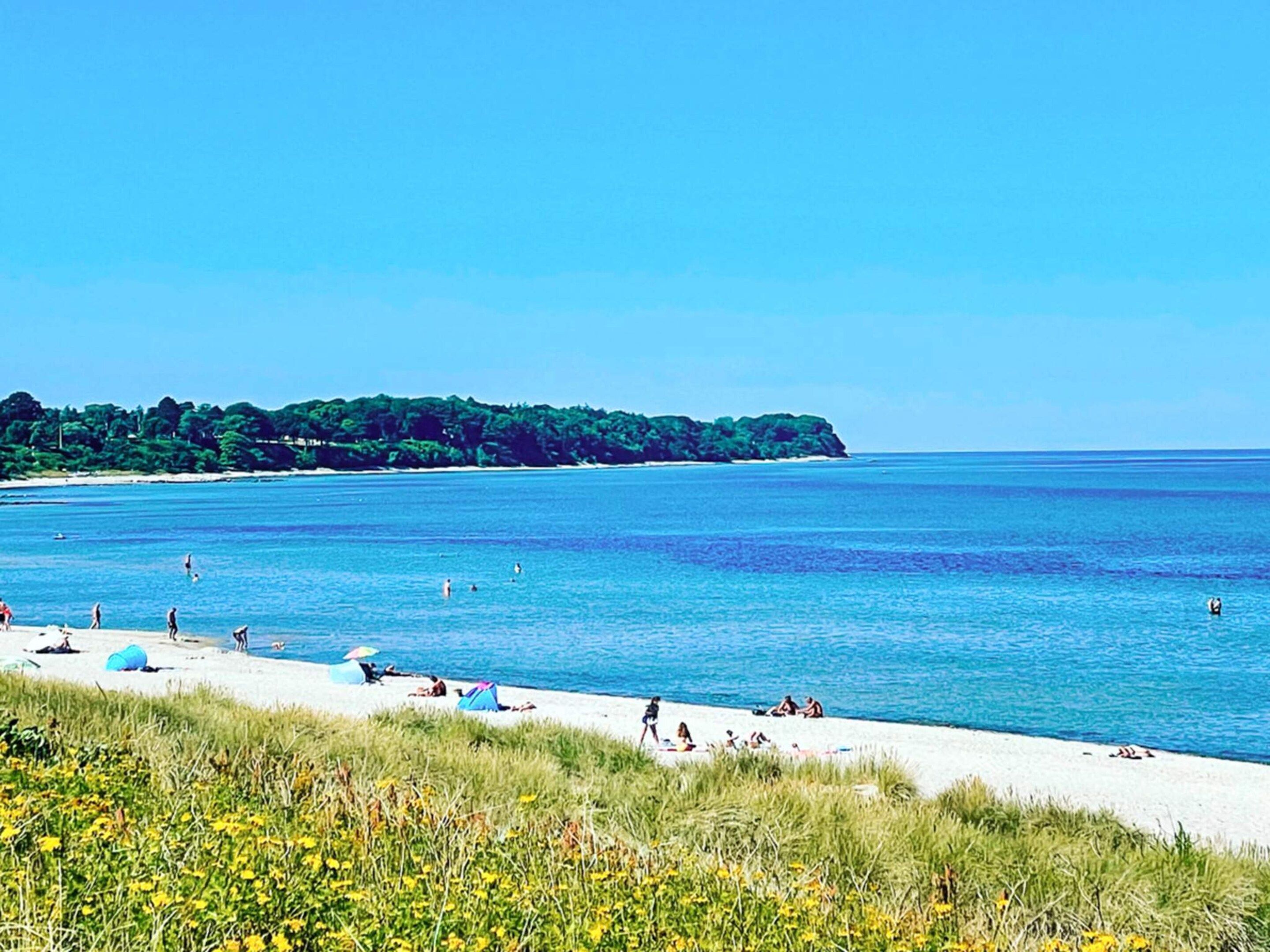 Una playa con gente nadando y relajándose, un cielo despejado y una isla boscosa al fondo.