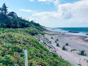 Paisatge costaner amb platja, línia de costa rocosa i vegetació densa.