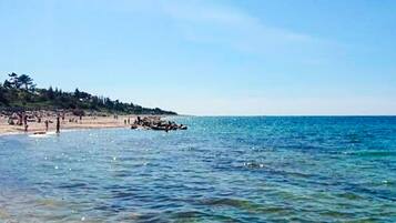 A beach with clear water, a sandy shore, and a forested hill in the background.