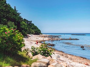 A coastal beach with rocky terrain, clear blue water, and dense greenery. - 6 Person Holiday Home in Gilleleje (Gilleleje)