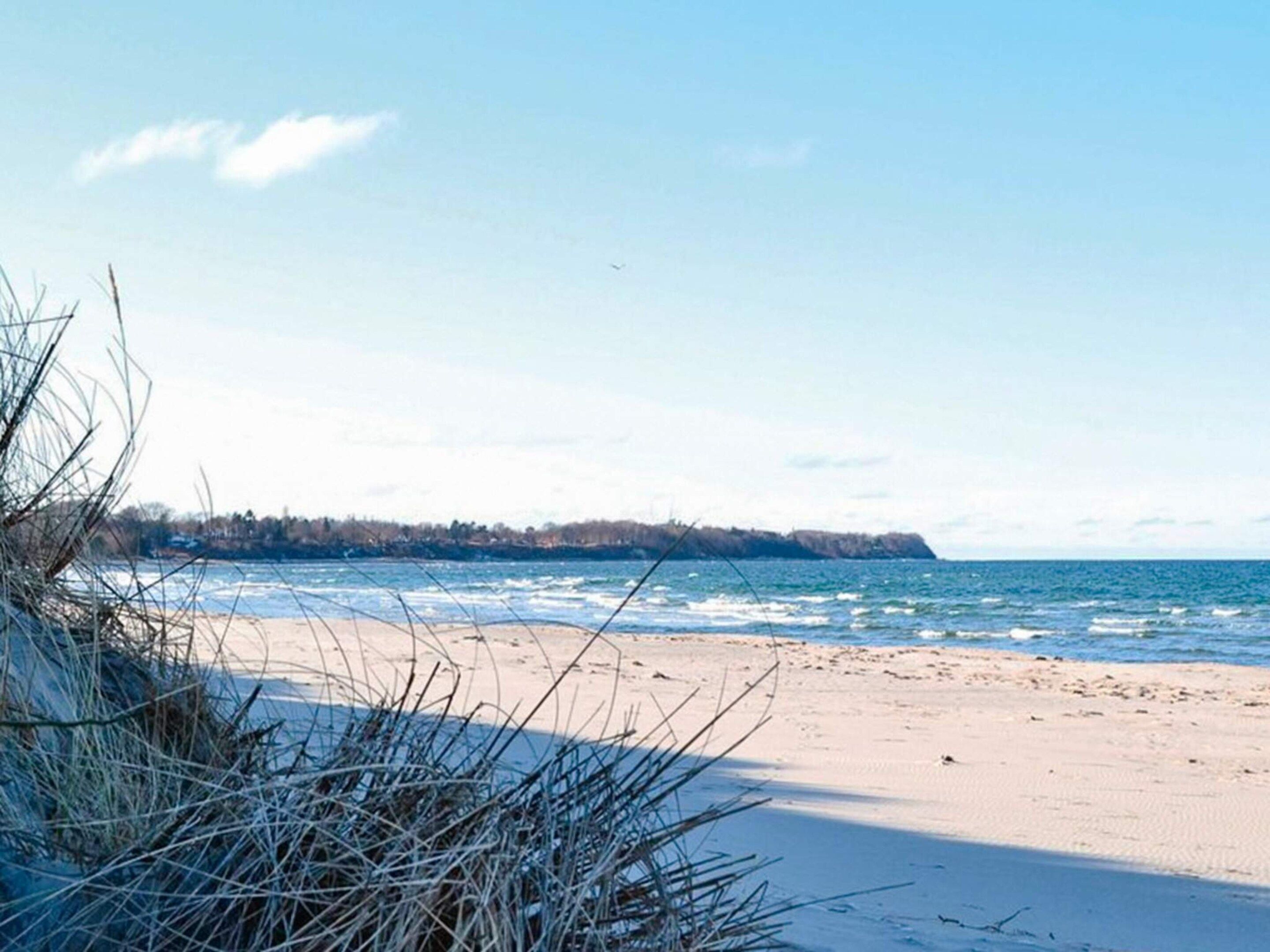 En strand med sand og sparsom vegetation, en klar himmel og en fjer borte kystlinje.