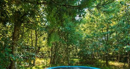 8 Person Holiday Home in Ringkobing