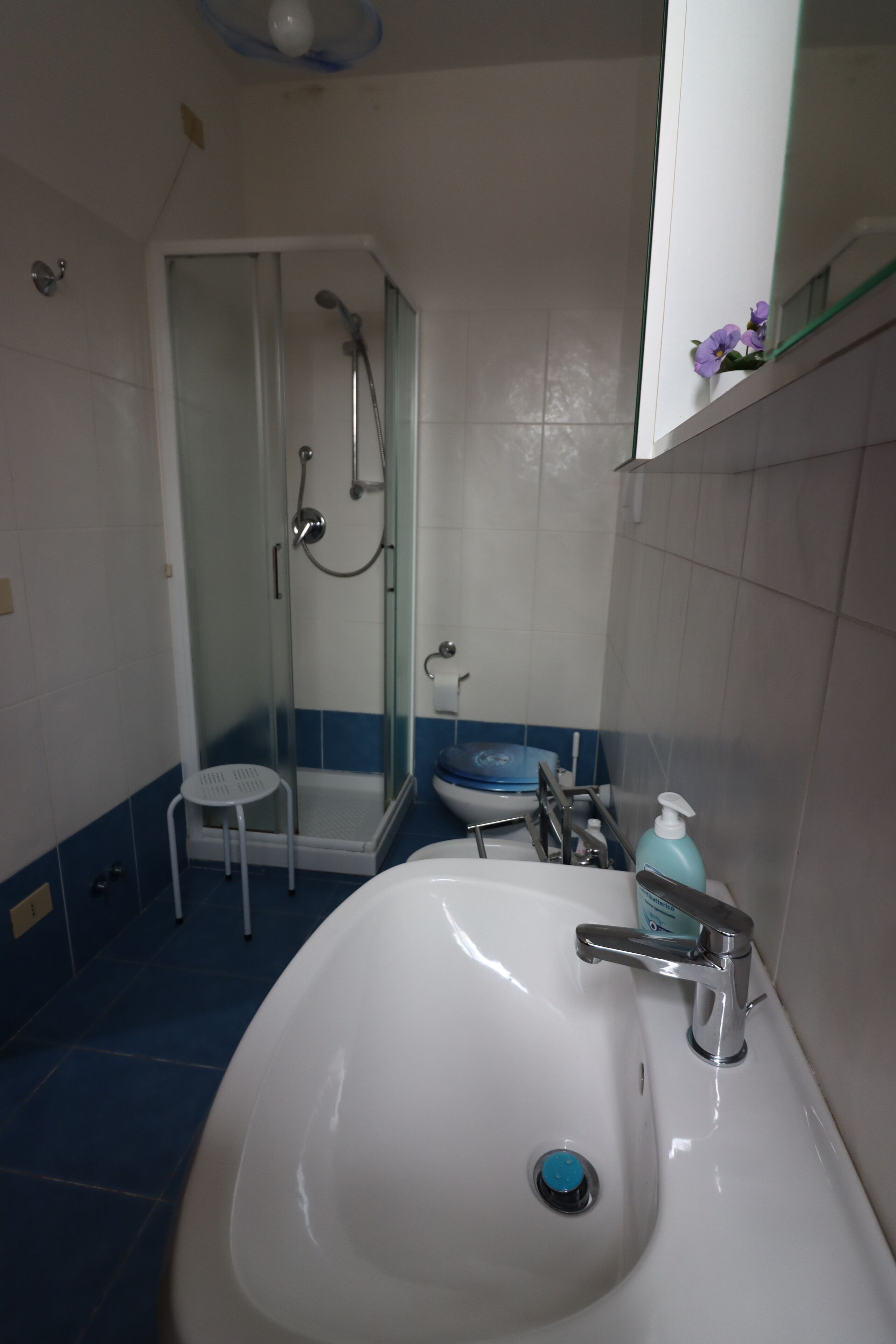 Appartamento Standard, 1 camera da letto | Bagno | Set di cortesia gratuito, asciugacapelli