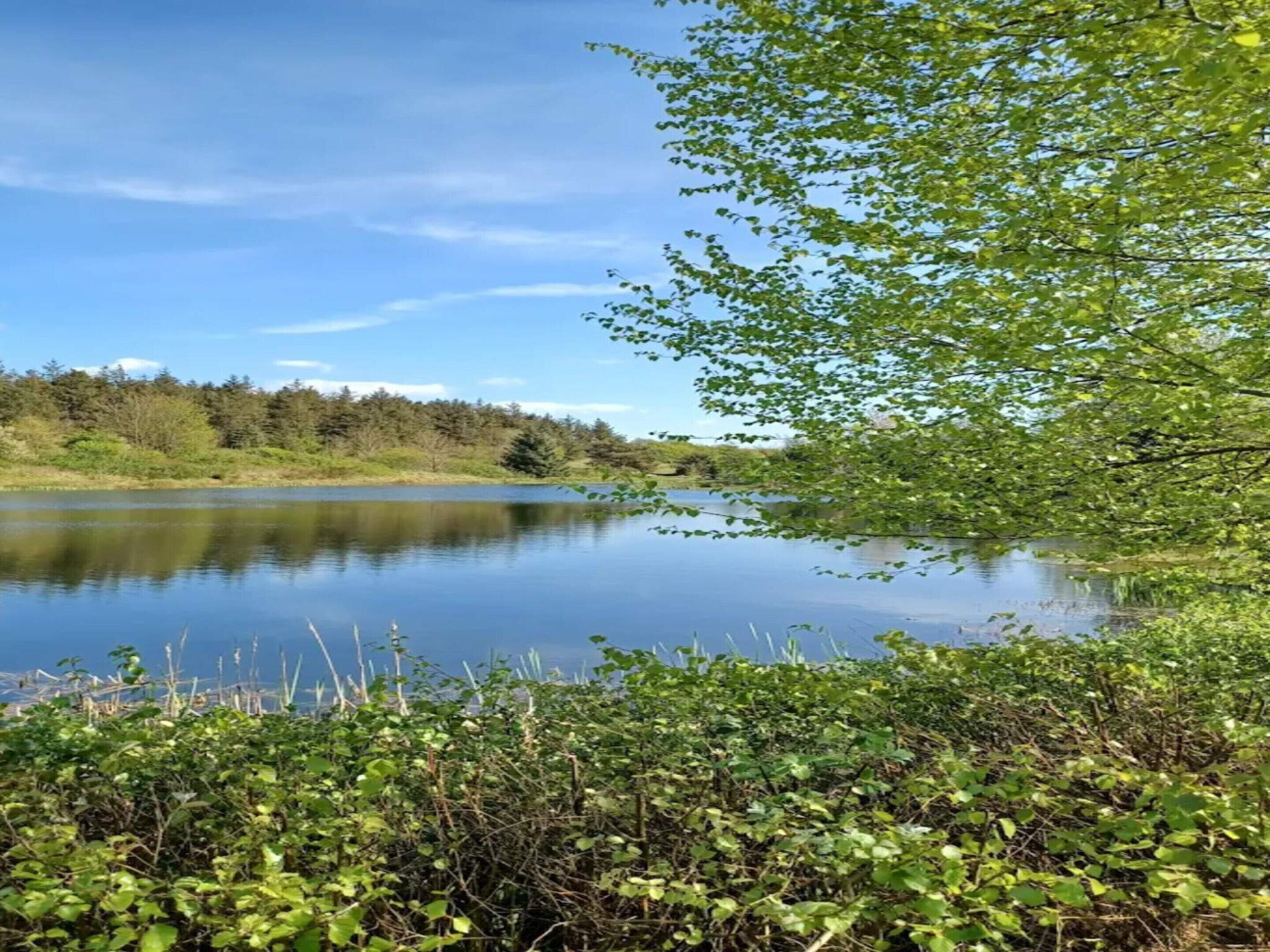 En rolig sø omgivet af frodig vegetation og træer.
