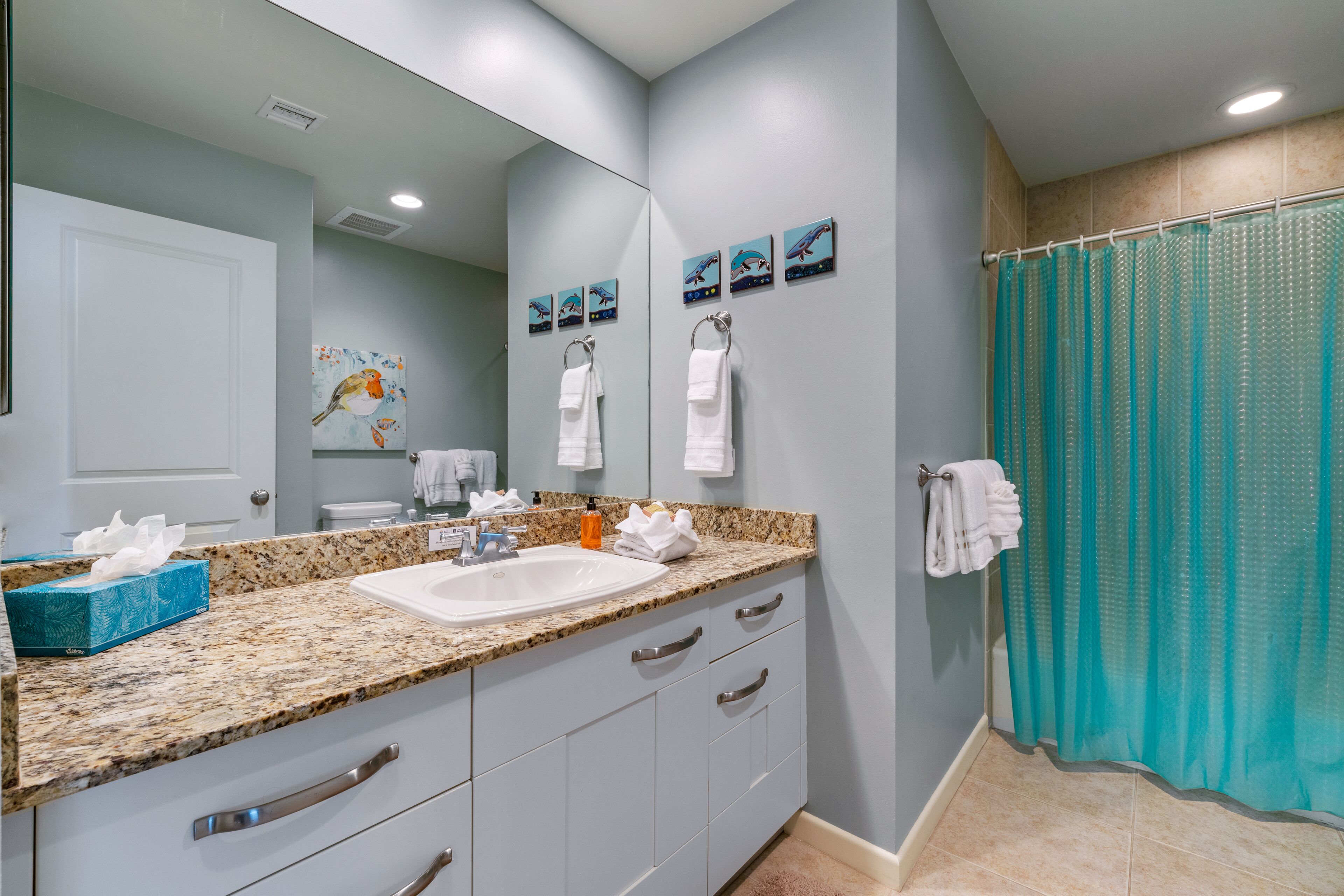 Combined shower/tub, hair dryer, towels