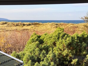 Paisaje costero con vista al mar y una zona verde con arbustos densos.
