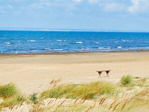 A beach with a sandy shore and a view of the ocean.