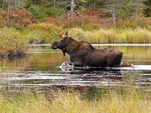 Ferienhaus | Verschiedenes