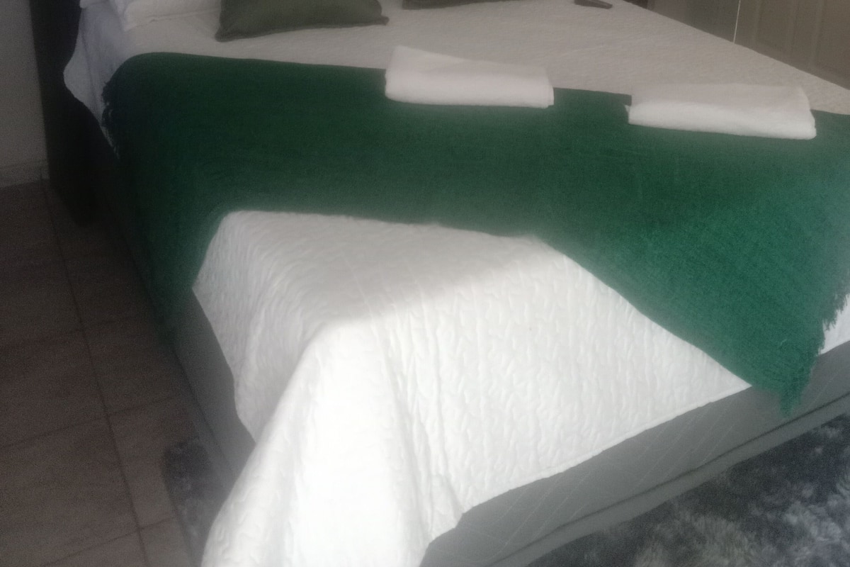 Business Double Room Single Use | Iron/ironing board, free WiFi