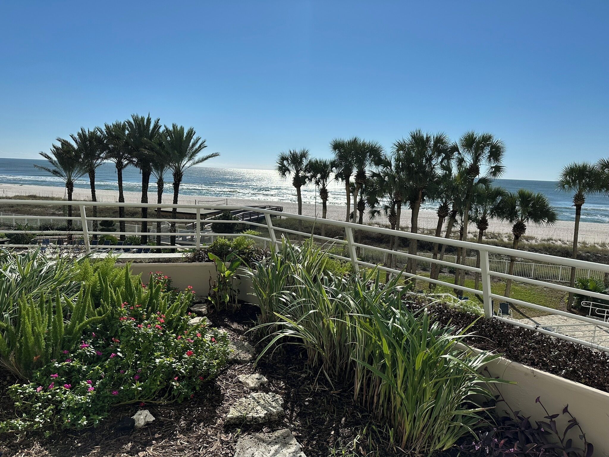 A beachfront view with a white railing, palm trees, and a sandy beach.
