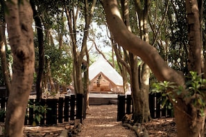 A tented accommodation surrounded by trees with a dirt path leading to it. - small planet CAMP&GRILL - Glamping (Chiba)