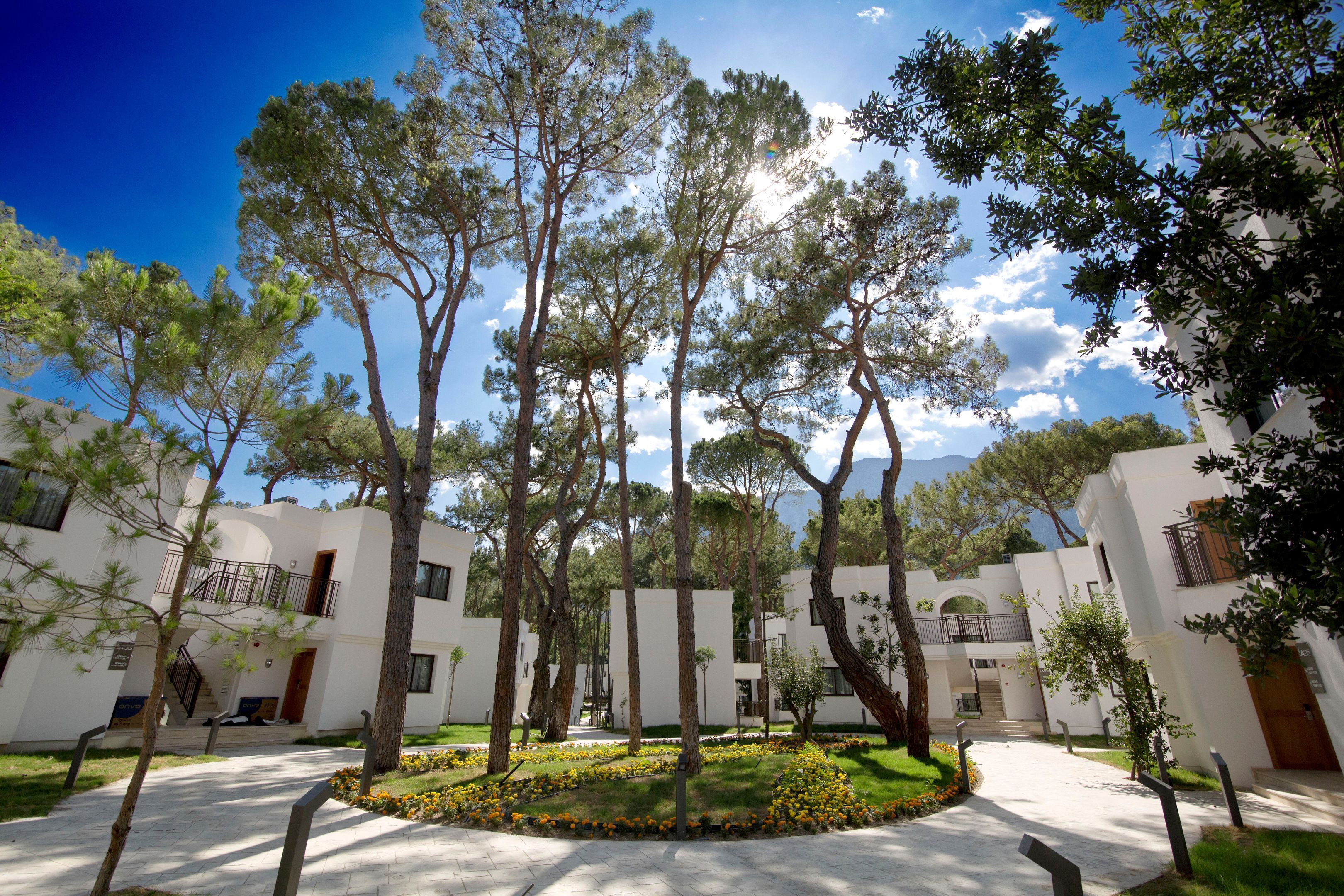 A courtyard with tall trees, white buildings, and a central circular flower bed.