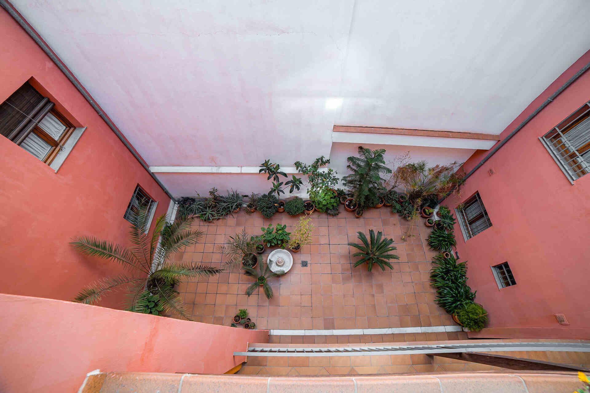 Un estrecho pasillo con paredes rosadas y suelo de baldosas que conduce a una escalera. Las paredes están decoradas con diversas plantas en macetas, y hay ventanas con contraventanas de madera a ambos lados.