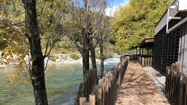 Una pasarela de madera junto a un río, con árboles y un edificio al fondo.