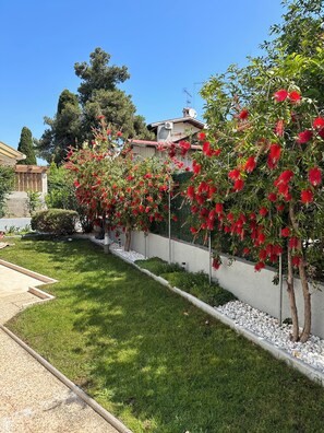 Property grounds - Rovinj - Borik, beautiful apartment Lea for 2-4 persons with garden - 5 min. from the beach (Rovinj)