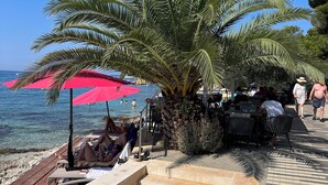 A beachside terrace with palm trees, outdoor seating, and a view of the sea.