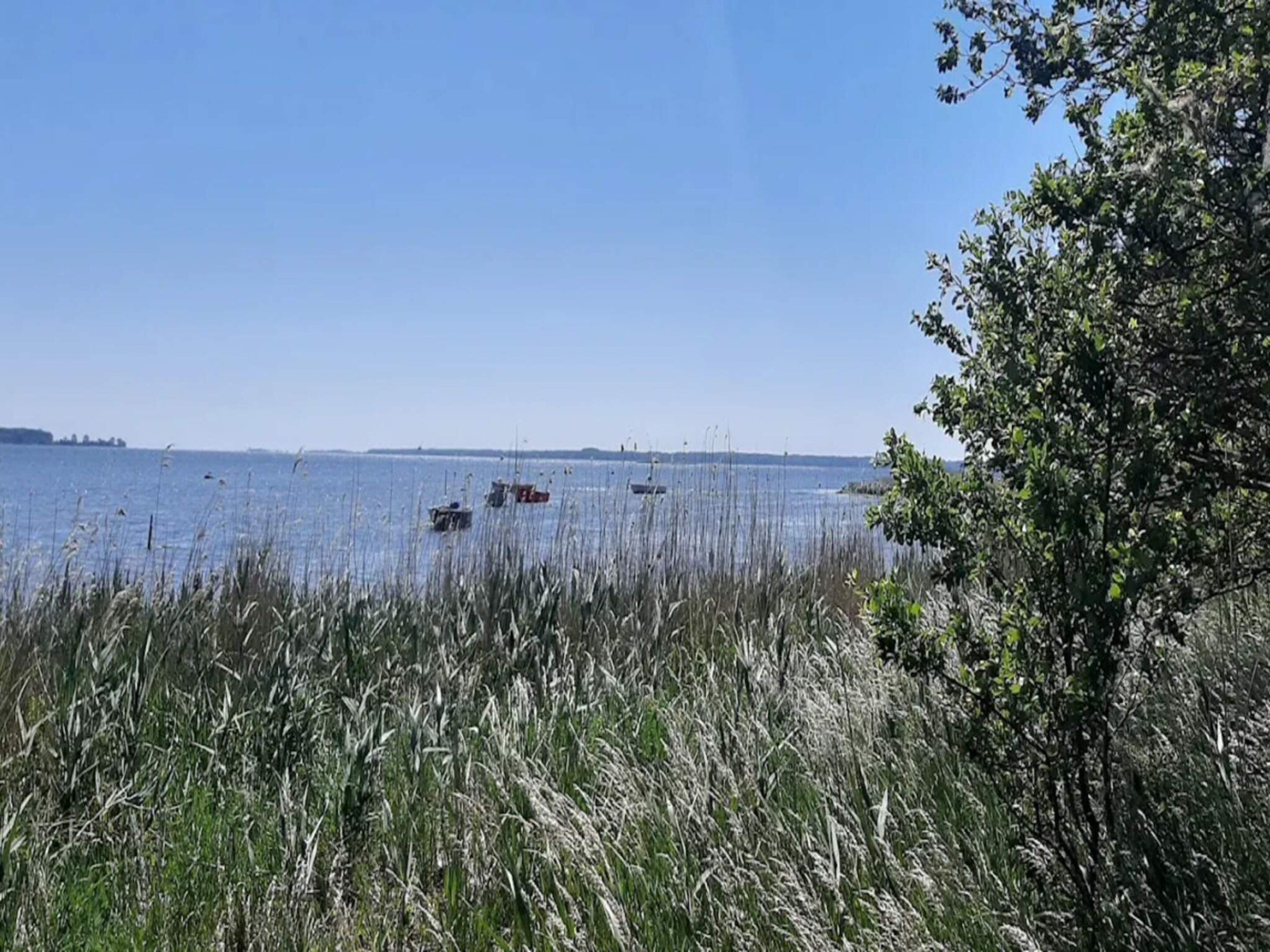 A calm lake with boats, surrounded by tall grasses and trees.
