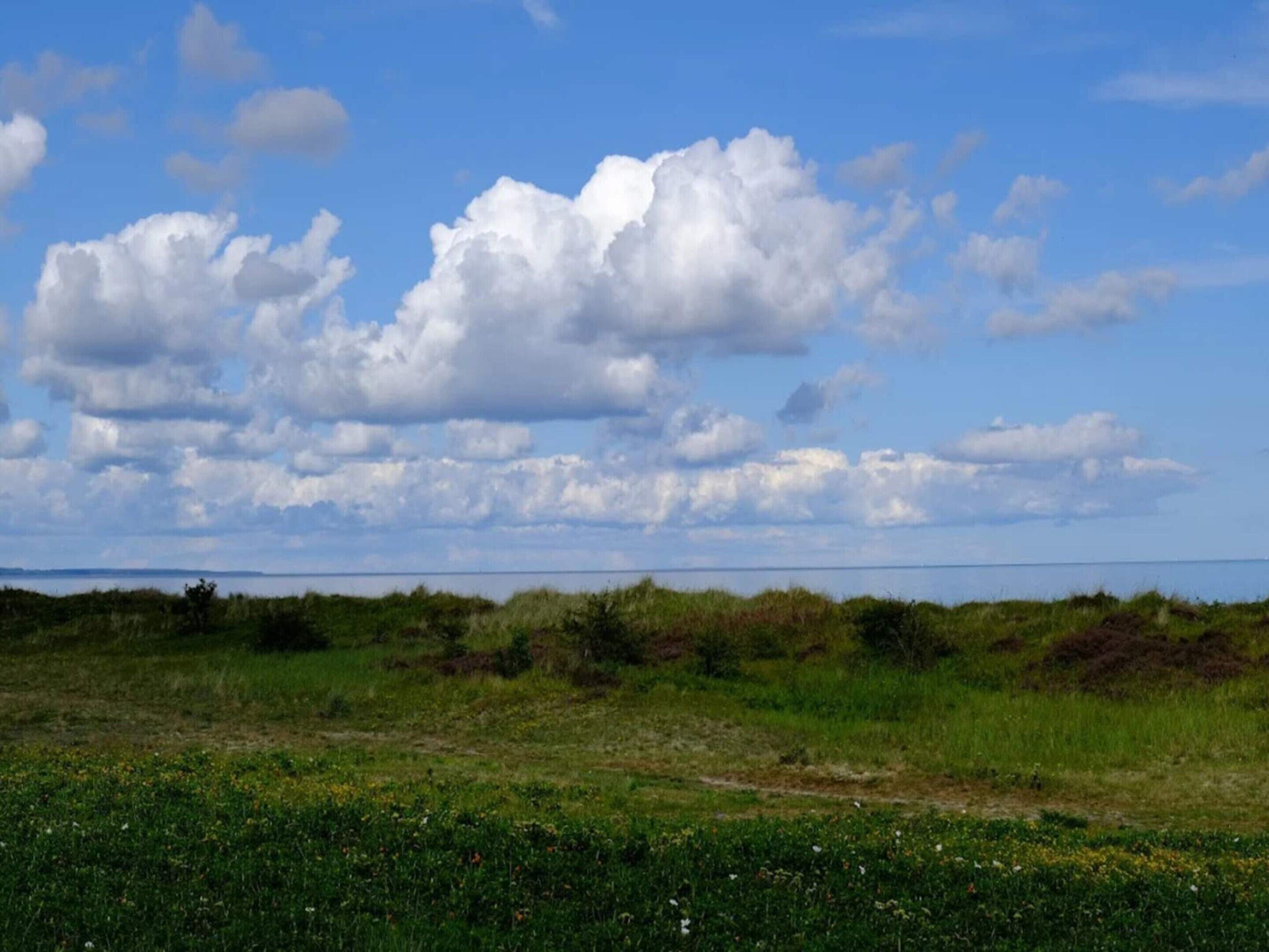 A coastal landscape with a grassy foreground and a body of water in the distance.