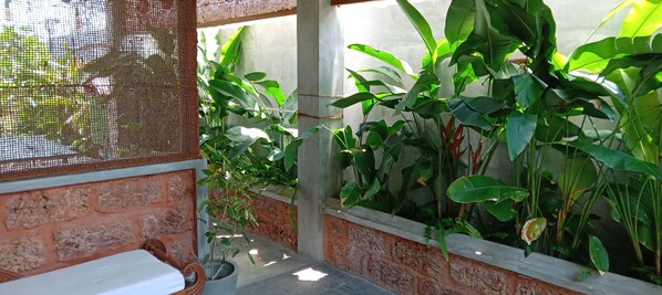 Property grounds - eco friendly chalet with super close to great cinnamon hiking trails (Ambalangoda)