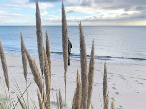 하우스 | 해변
