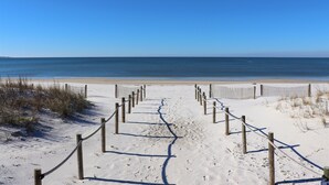 Un sentier de sable qui longe la plage et mène à l’océan, délimité par des poteaux en bois et des cordes.