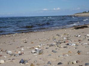 A beach with scattered shells and pebbles. - 7 Person Holiday Home in Graested (Gilleleje)