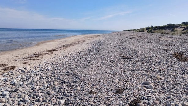 A pebbled beach with a clear sky. - 7 Person Holiday Home in Graested (Gilleleje)