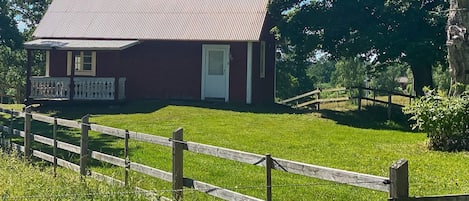 Eksteriør