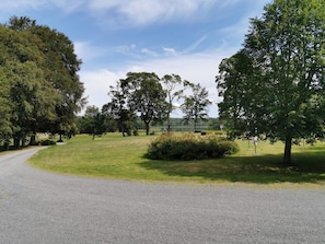 A rural road curving through a grassy area with trees and a clear sky. - 4 Person Holiday Home in Vetlanda (Vetlanda)