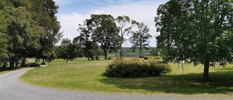 A rural road curving through a grassy area with trees and a clear sky.