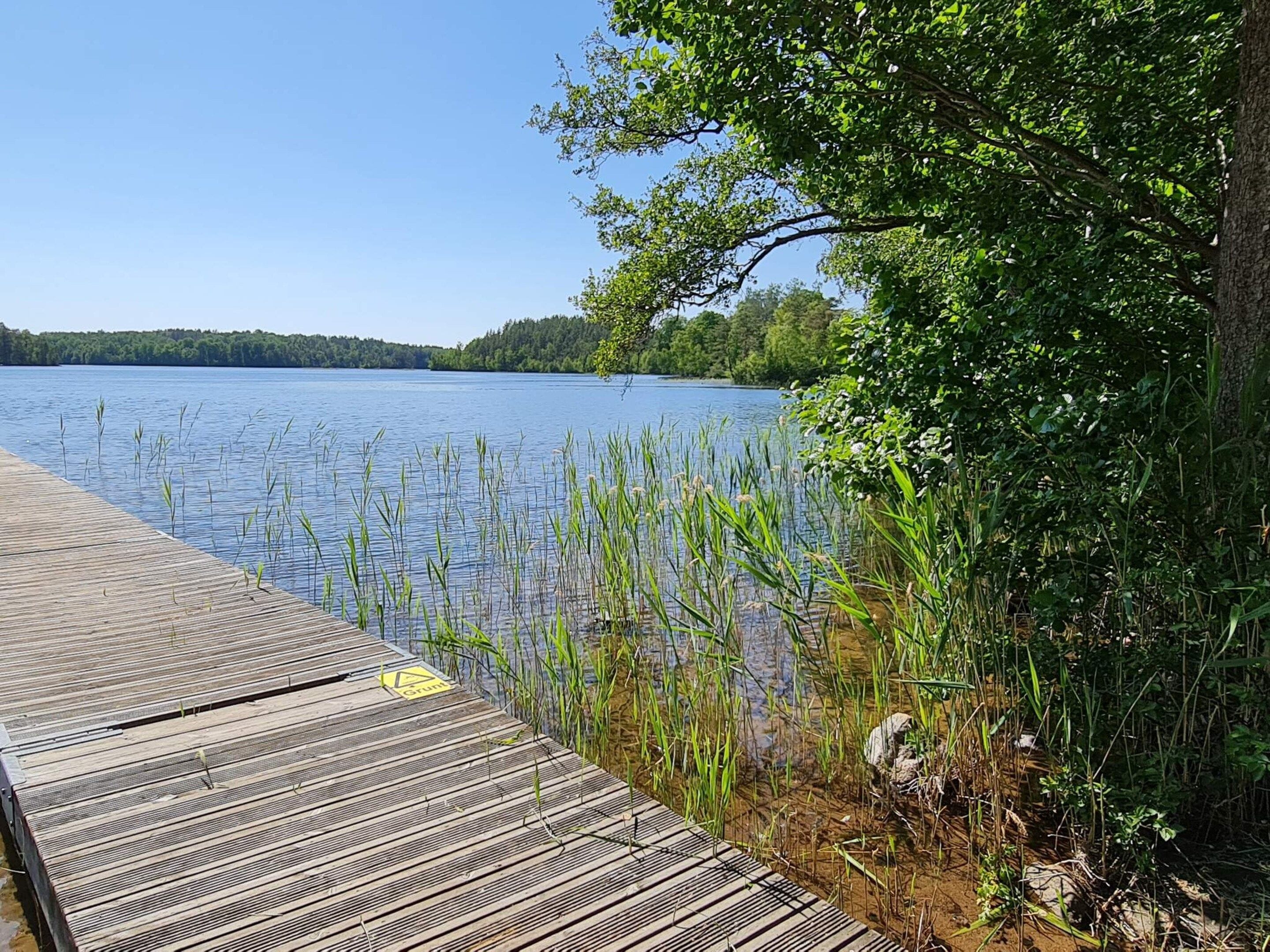 A wooden dock extending into a calm lake, surrounded by dense greenery and trees.