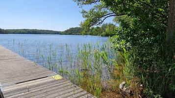 A wooden dock extending into a calm lake, surrounded by dense greenery and trees.