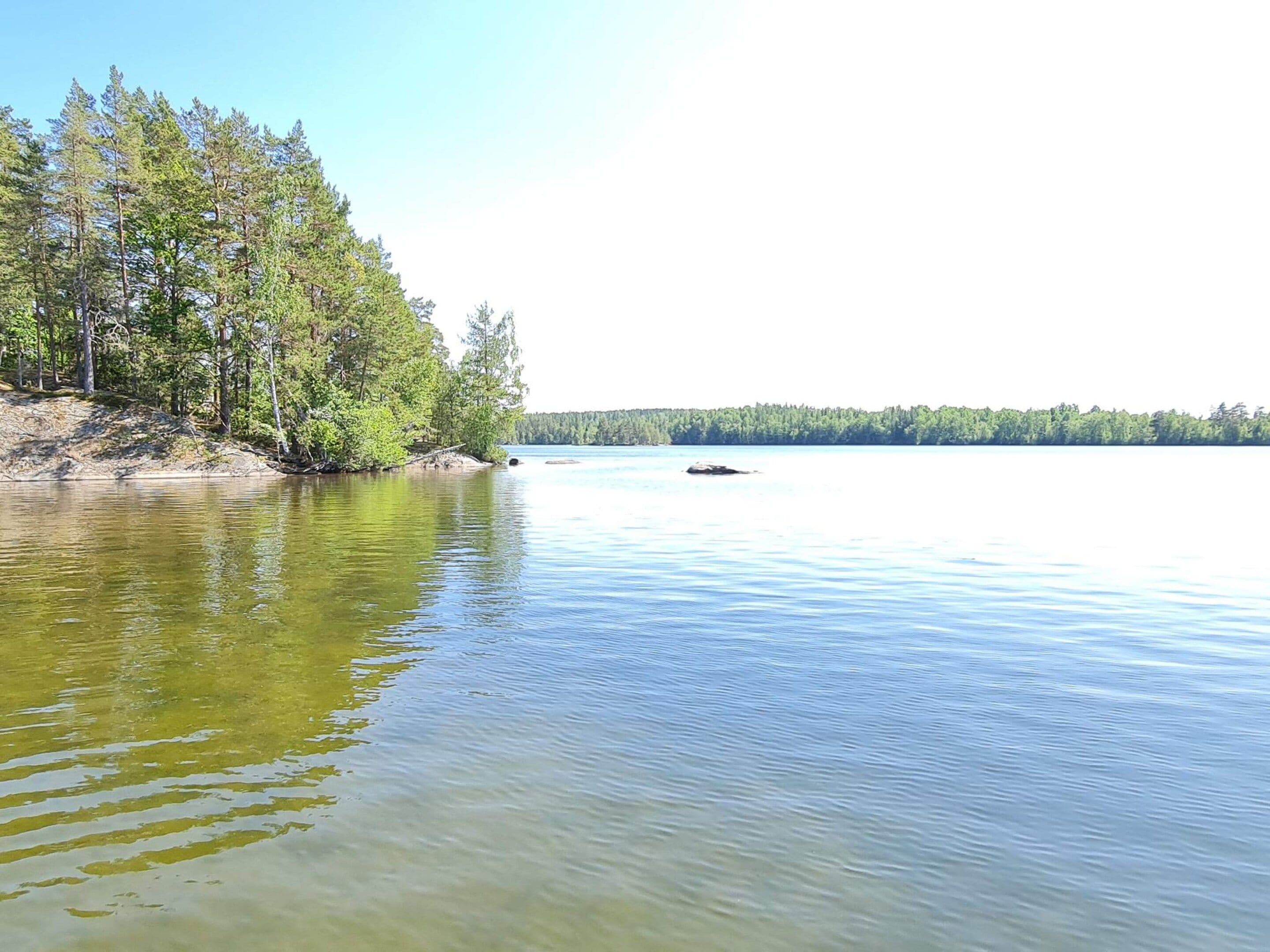 Ein ruhiger See mit bewaldeter Uferlinie und einer entfernten Baumgrenze.