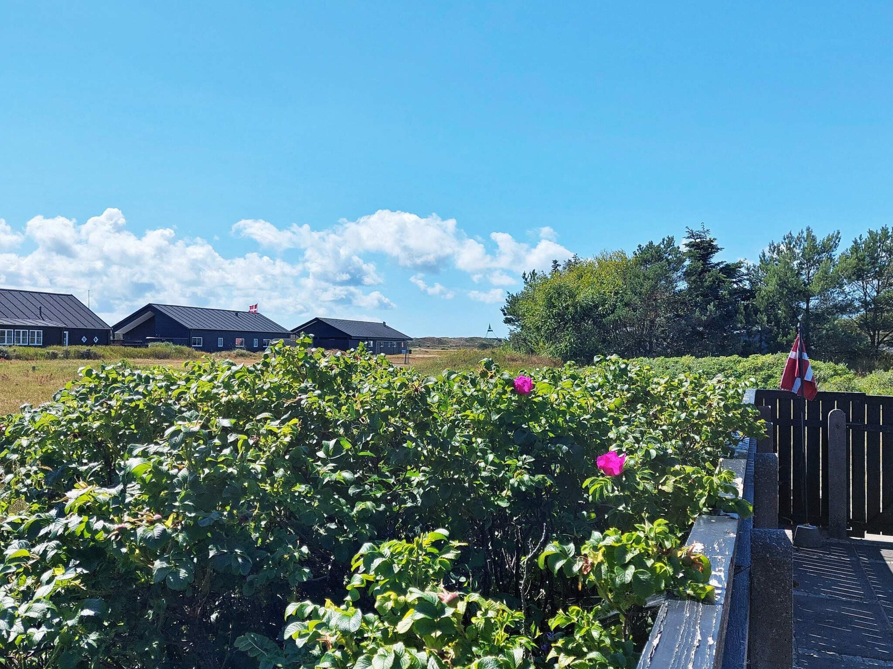House | View from property