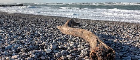 Una playa de guijarros con un tronco grande de madera a la vista.