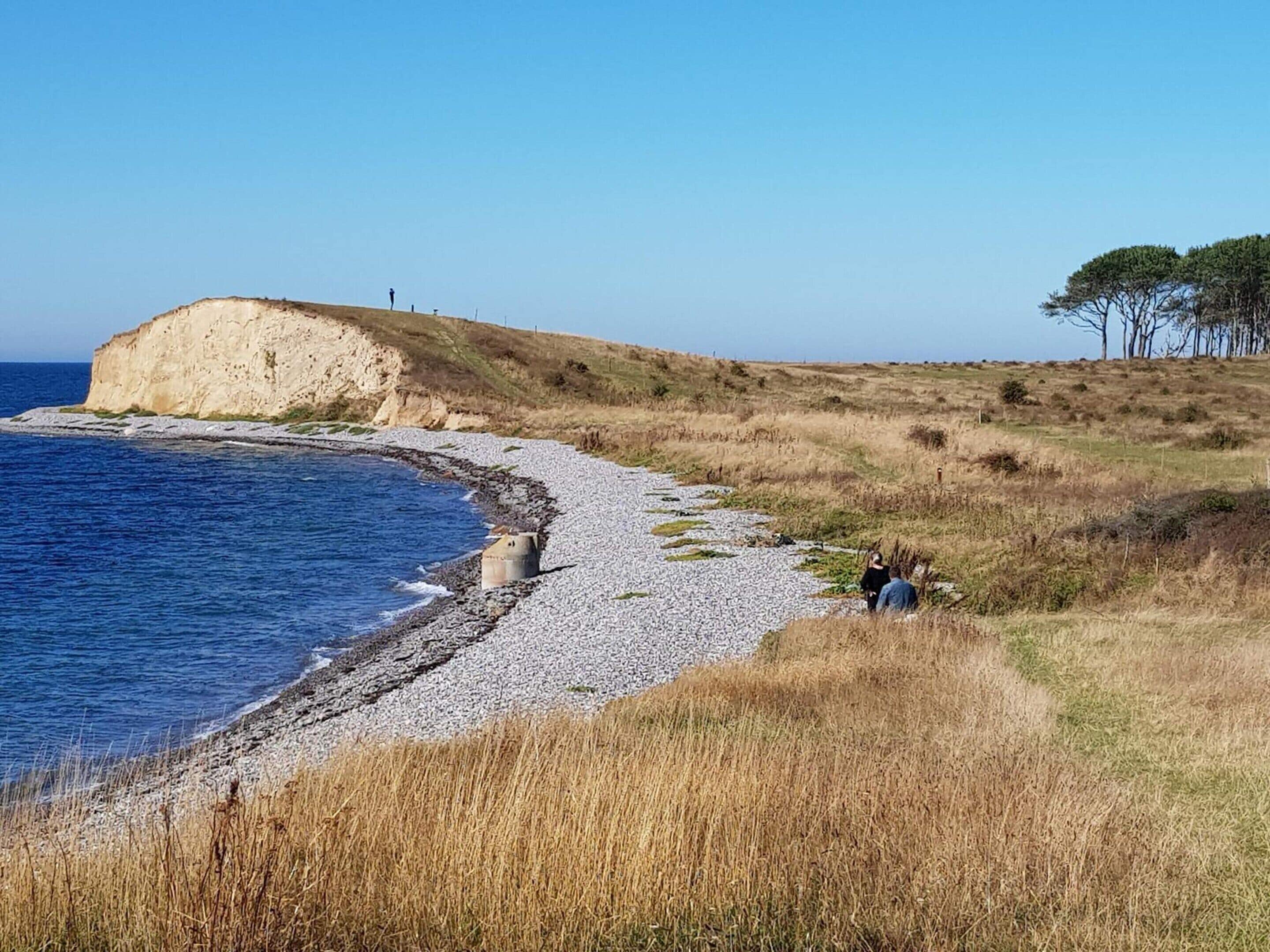 Un paysage côtier avec une plage de galets, une falaise et quelques arbres.