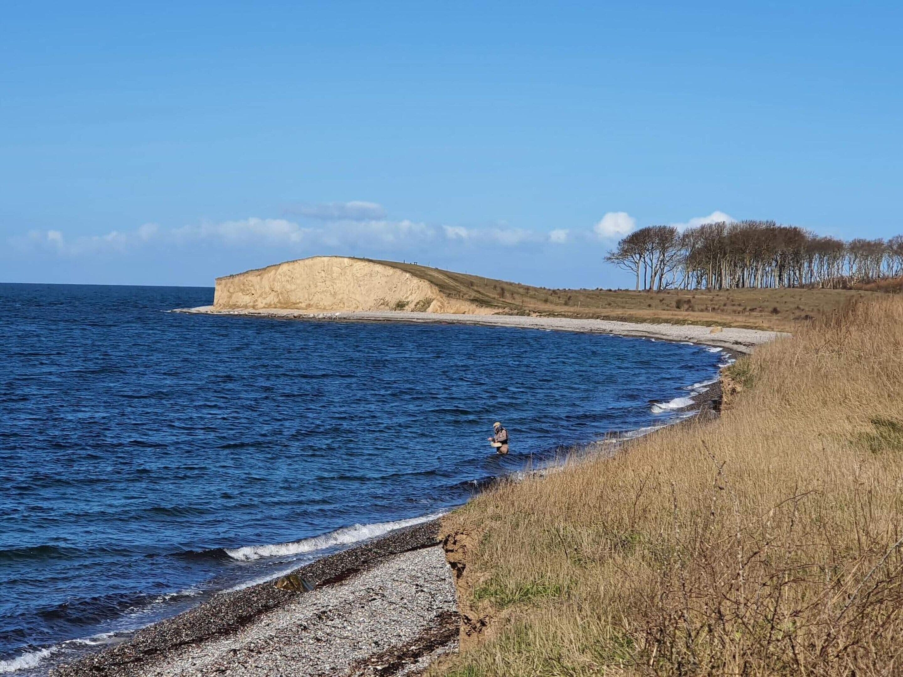 Un paysage côtier comprenant une falaise, une plage et une végétation clairsemée.