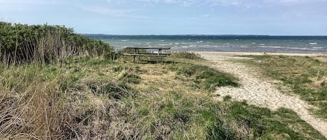 A beach path leading to a bench overlooking the sea.