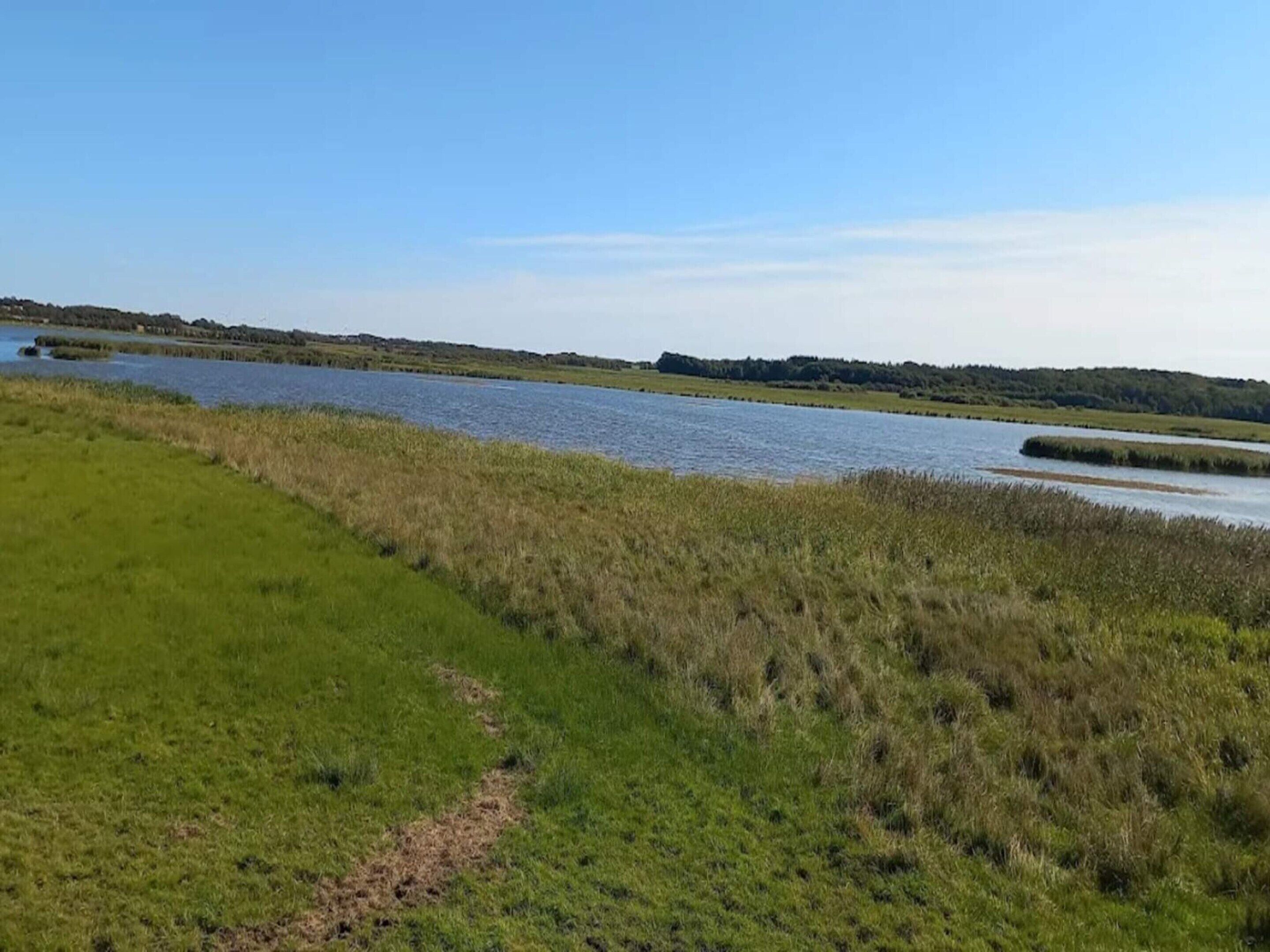 Paesaggio naturale con un corpo d'acqua, aree erbose e una filare di alberi in lontananza.