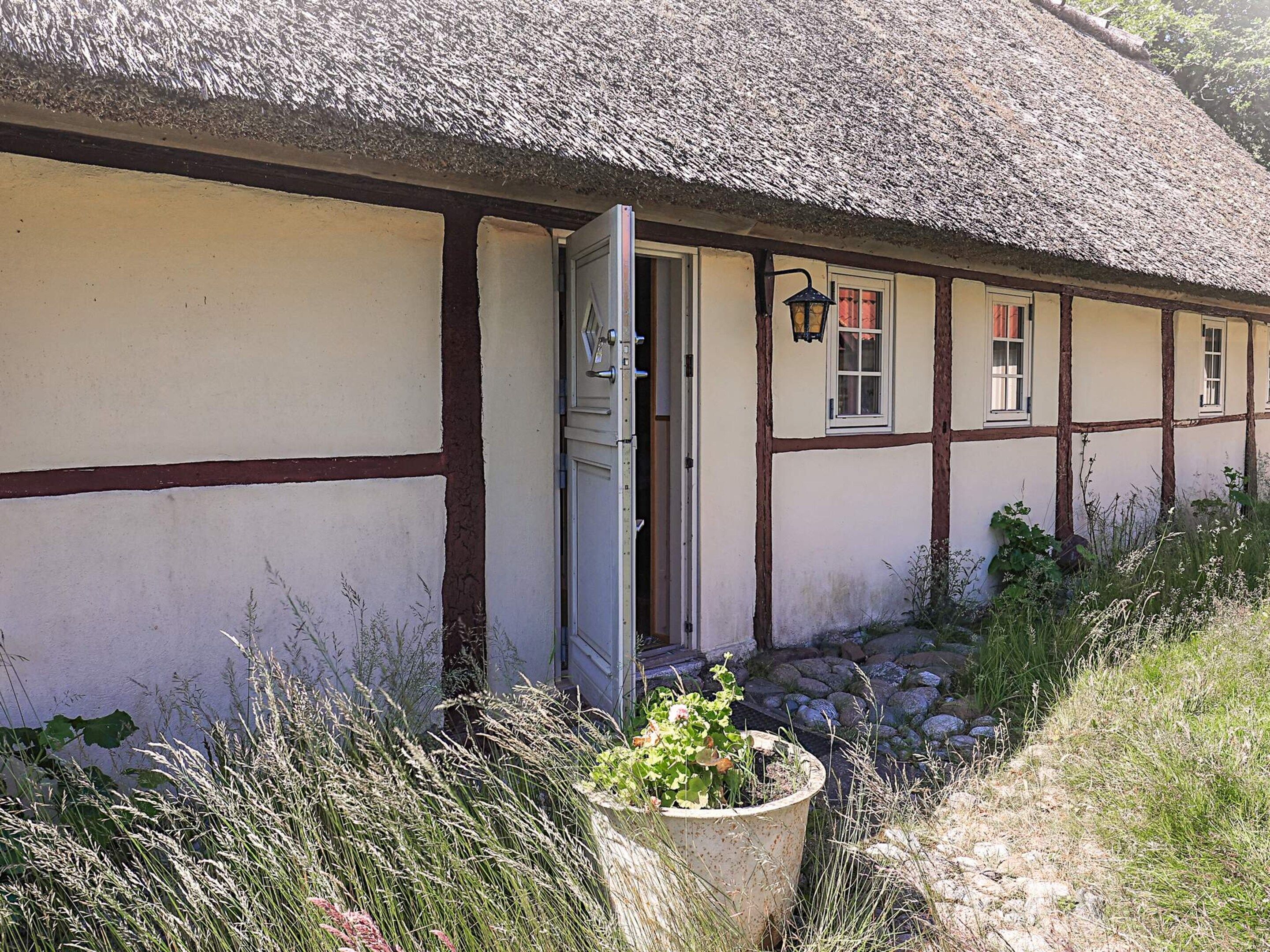 A traditional building with a thatched roof, a wooden door, and a small garden area with a potted plant.