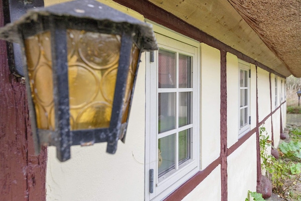 Casa | Vista da propriedade