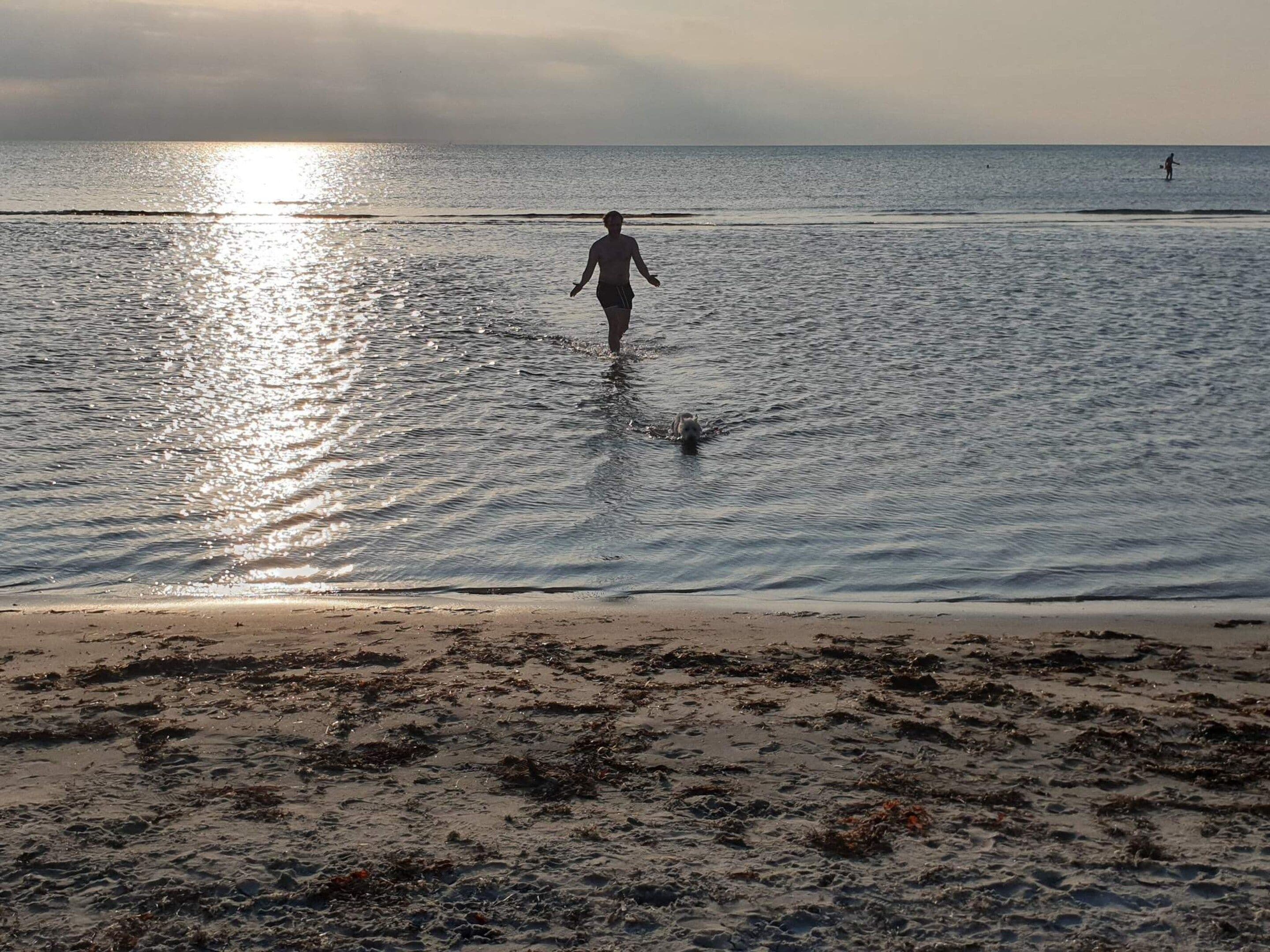 Une plage où l’on voit une personne qui marche dans l’eau, une autre personne au loin et des algues sur le sable.
