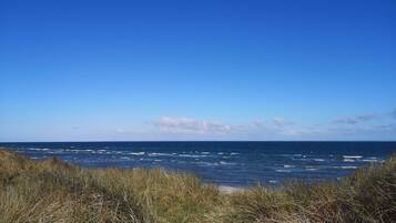 A coastal landscape with a clear sky, ocean waves, and grassy dunes.