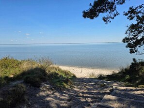 A beach with a sandy path leading to the water, surrounded by vegetation and trees.