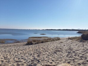 En sandstrand med stilla vatten och träd som syns på avstånd.