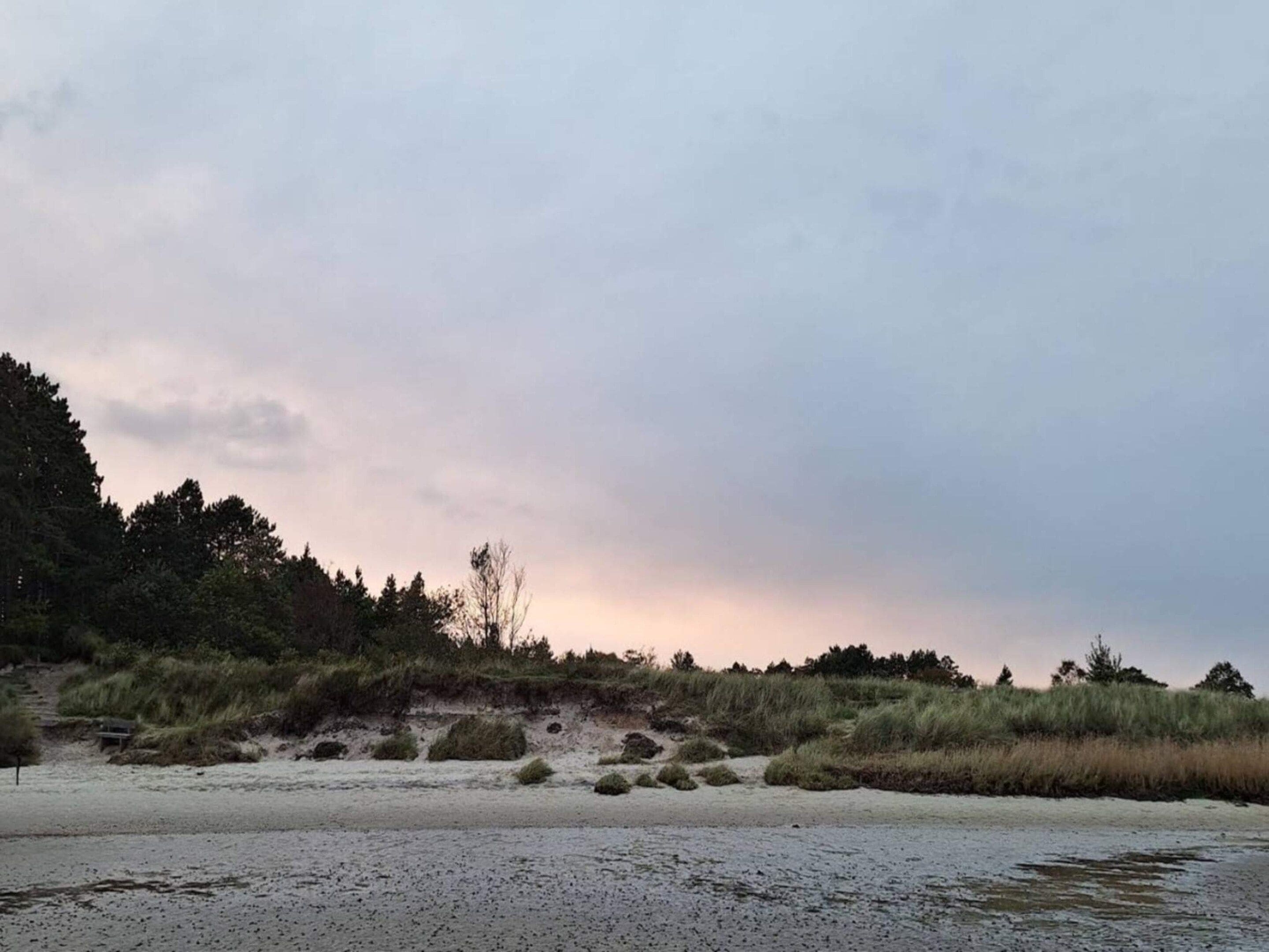A coastal landscape with a sandy beach, grassy dunes, and a forested area in the background.