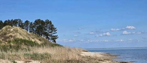 Een strand met een zandpad dat naar het water leidt, een grasduin en een rij bomen op de achtergrond.
